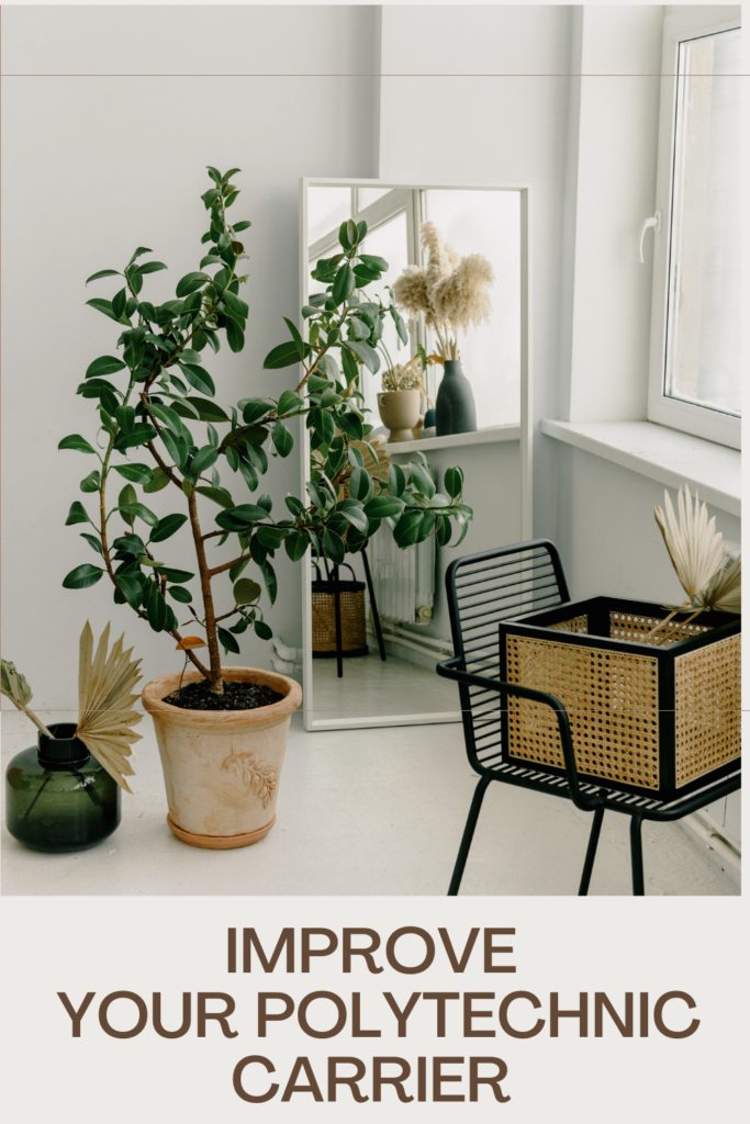 how to create a brand mood board blog pinterest pin